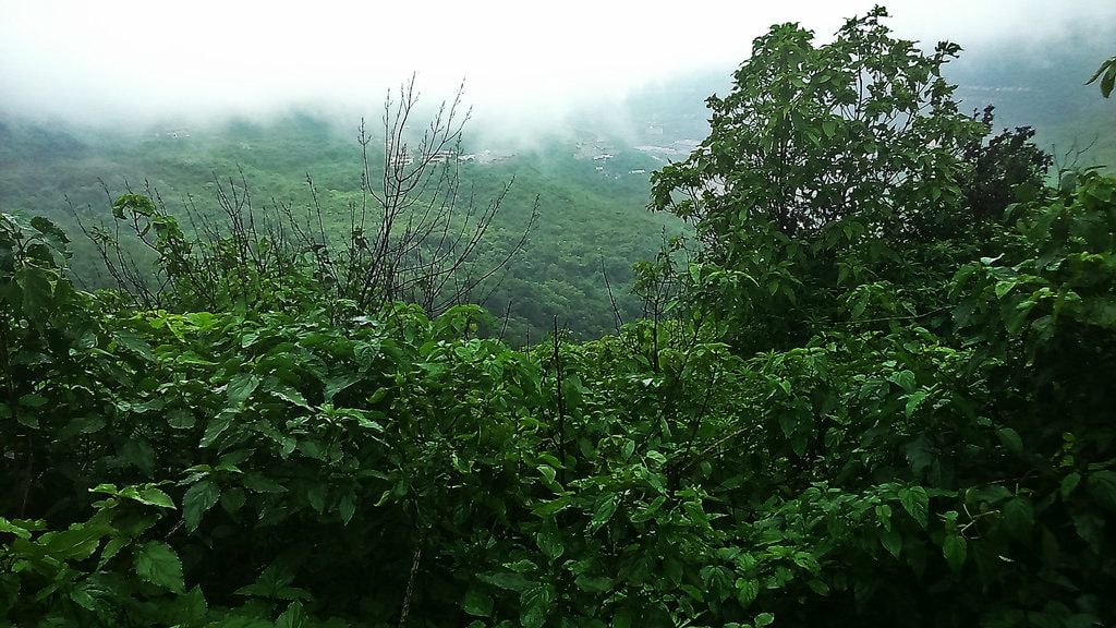 lush green landscape in Lavasa