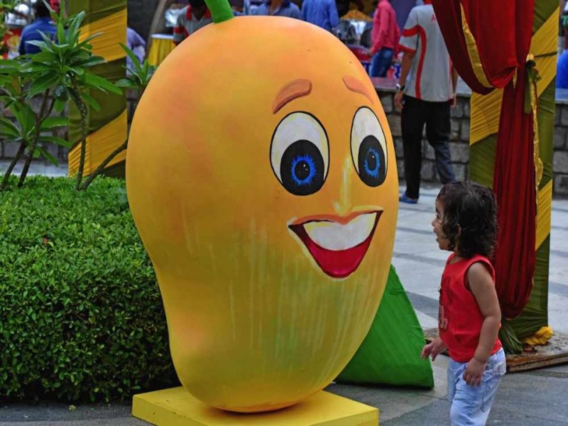 international-mango-festival-in-india-2023-coveringindia